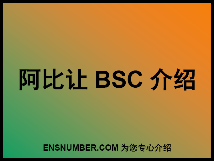 阿比让BSC跟踪单介绍