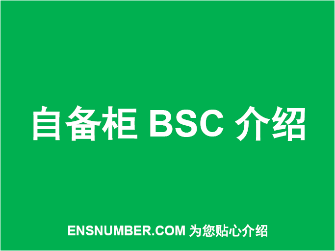 自备柜BSC介绍