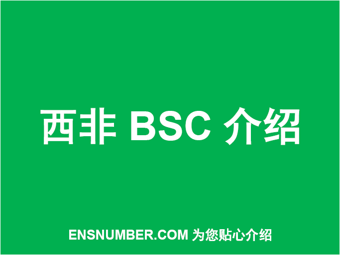 西非BSC介绍